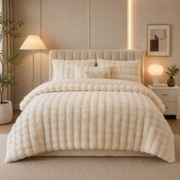 Cloudveil Bedding Set